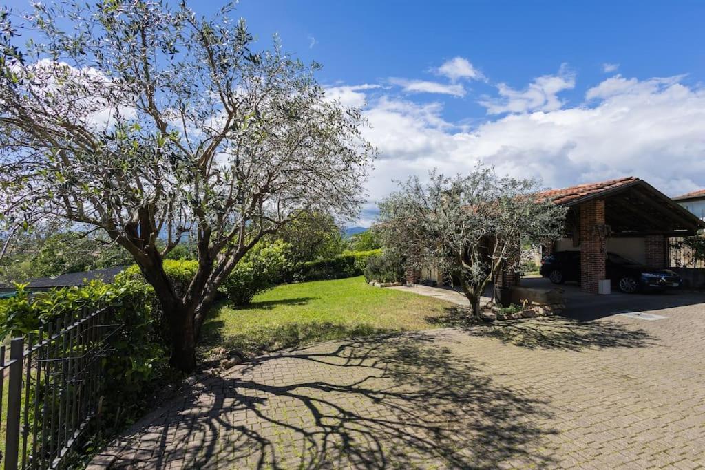 Villa Bruno Selvago In Lessona מראה חיצוני תמונה