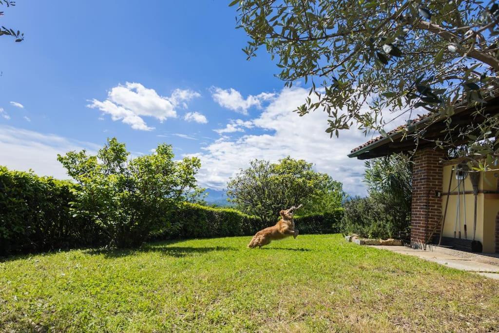 Villa Bruno Selvago In Lessona מראה חיצוני תמונה